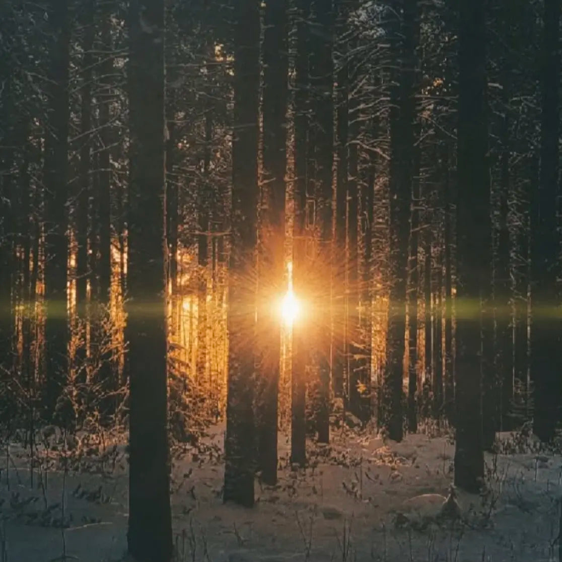 NOUSUN marraskuu 2025